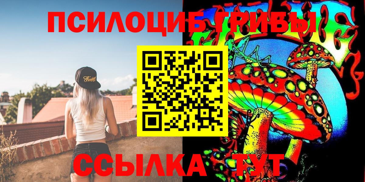 Галлюциногенные грибы Psilocybine cubensis Горячий Ключ